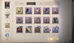 IMG_3677.jpeg