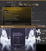 horse.jpg