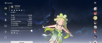 Screenshot_20240810_055723_Wuthering Waves.jpg