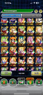 dokkan8.jpeg