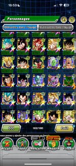 dokkan6.jpeg