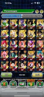 dokkan4.jpeg