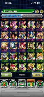dokkan2.jpeg