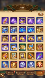 bag1.png