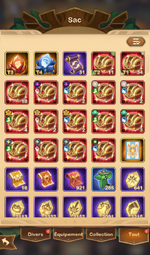 bag2.png