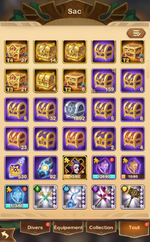 bag4.png