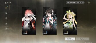 Screenshot_2024-08-17-15-33-11-011_com.kurogame.wutheringwaves.global.jpg