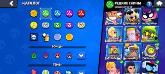Screenshot_2024-08-22-04-07-42-308_com.supercell.brawlstars.jpg