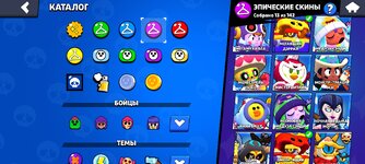Screenshot_2024-08-22-04-08-47-643_com.supercell.brawlstars.jpg