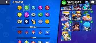 Screenshot_2024-08-22-04-17-07-170_com.supercell.brawlstars.jpg