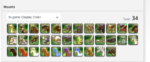 Mounts.png