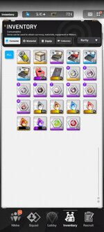 Screenshot_2024-08-24-12-02-15-233_com.proximabeta.nikke.jpg