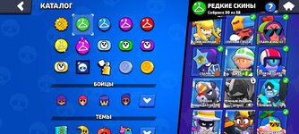 Screenshot_2024-08-31-18-58-34-935_com.supercell.brawlstars.jpg