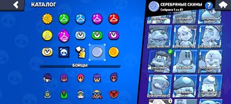 Screenshot_2024-09-03-20-22-42-120_com.supercell.brawlstars.jpg