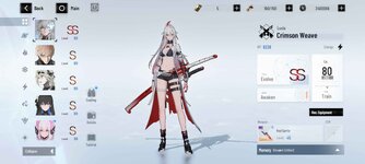 Screenshot_2024-09-09-06-47-43-370_com.kurogame.gplay.punishing.grayraven.en.jpg