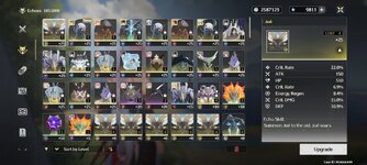 Screenshot_2024-09-10-17-02-30-473_com.kurogame.wutheringwaves.global.jpg