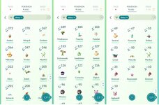 shiny2.jpg