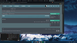 Desktop Screenshot 2024.09.15 - 20.52.33.71.png