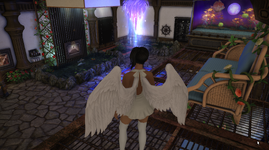 2024-09-14 18_42_27-FINAL FANTASY XIV.png
