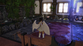 2024-09-14 18_44_02-FINAL FANTASY XIV.png