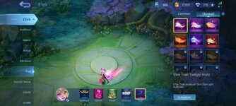 Screenshot_2024-09-17-19-07-58-745_com.mobile.legends.jpg