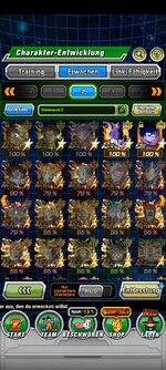 Screenshot_2024-09-17-17-12-04-034_com.bandainamcogames.dbzdokkanww.jpg