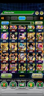 Screenshot_20240917_130025_Dokkan.jpg