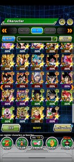 Screenshot_20240917_130027_Dokkan.jpg