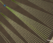 13.png