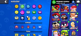 Screenshot_2024-09-18-21-56-02-476_com.supercell.brawlstars.jpg