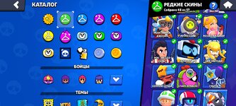 Screenshot_2024-09-18-21-56-07-142_com.supercell.brawlstars.jpg