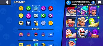 Screenshot_2024-09-18-22-06-50-483_com.supercell.brawlstars.jpg