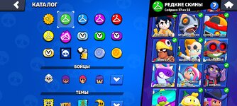 Screenshot_2024-09-18-22-47-30-850_com.supercell.brawlstars.jpg