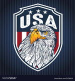 eagle-drawing-animal-logo-usa-america-vector-34721948.jpg