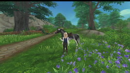 StarStable 2024-09-22 15-46-01.png