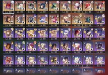 robin2.jpg