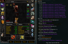 PALADIN-RETRI PVP.png