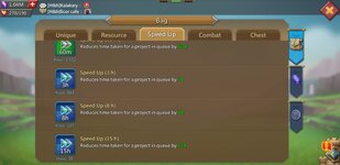 Screenshot_20240928-205615_Lords Mobile.jpg