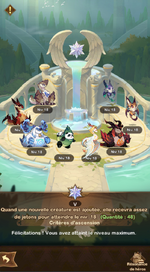 pet1.png