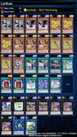 deckImage-15.jpg