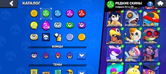 Screenshot_2024-10-05-23-54-40-874_com.supercell.brawlstars.jpg
