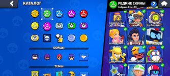 Screenshot_2024-10-05-23-54-48-020_com.supercell.brawlstars.jpg