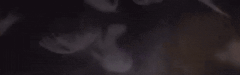 DB GIF.gif