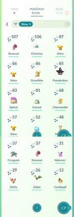 shiny 2.jpg