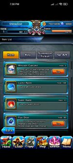 Screenshot_2024-10-11-19-38-10-339_jp.goodsmile.grandsummonersglobal_android.jpg