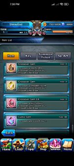 Screenshot_2024-10-11-19-38-36-376_jp.goodsmile.grandsummonersglobal_android.jpg