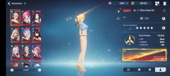 Screenshot_2024-10-14-16-16-45-870_com.netmarble.sololv.jpg
