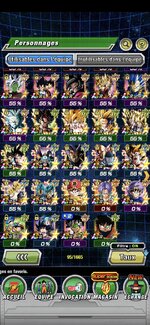 Screenshot_20241011_181021_Dokkan.jpg
