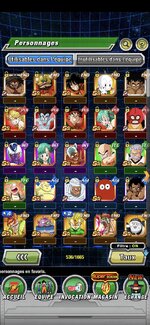 Screenshot_20241011_181230_Dokkan.jpg