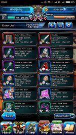Screenshot_2024-10-17-20-43-05-590_jp.goodsmile.grandsummonersglobal_android.jpg